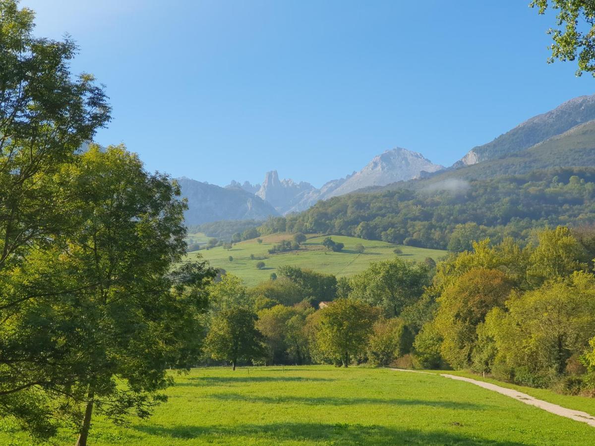La Estancia De Cangas - Amplio Piso Con Garaje Cangas de Onis Bagian luar foto