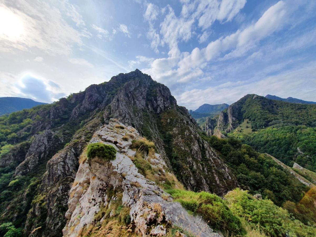 La Estancia De Cangas - Amplio Piso Con Garaje Cangas de Onis Bagian luar foto