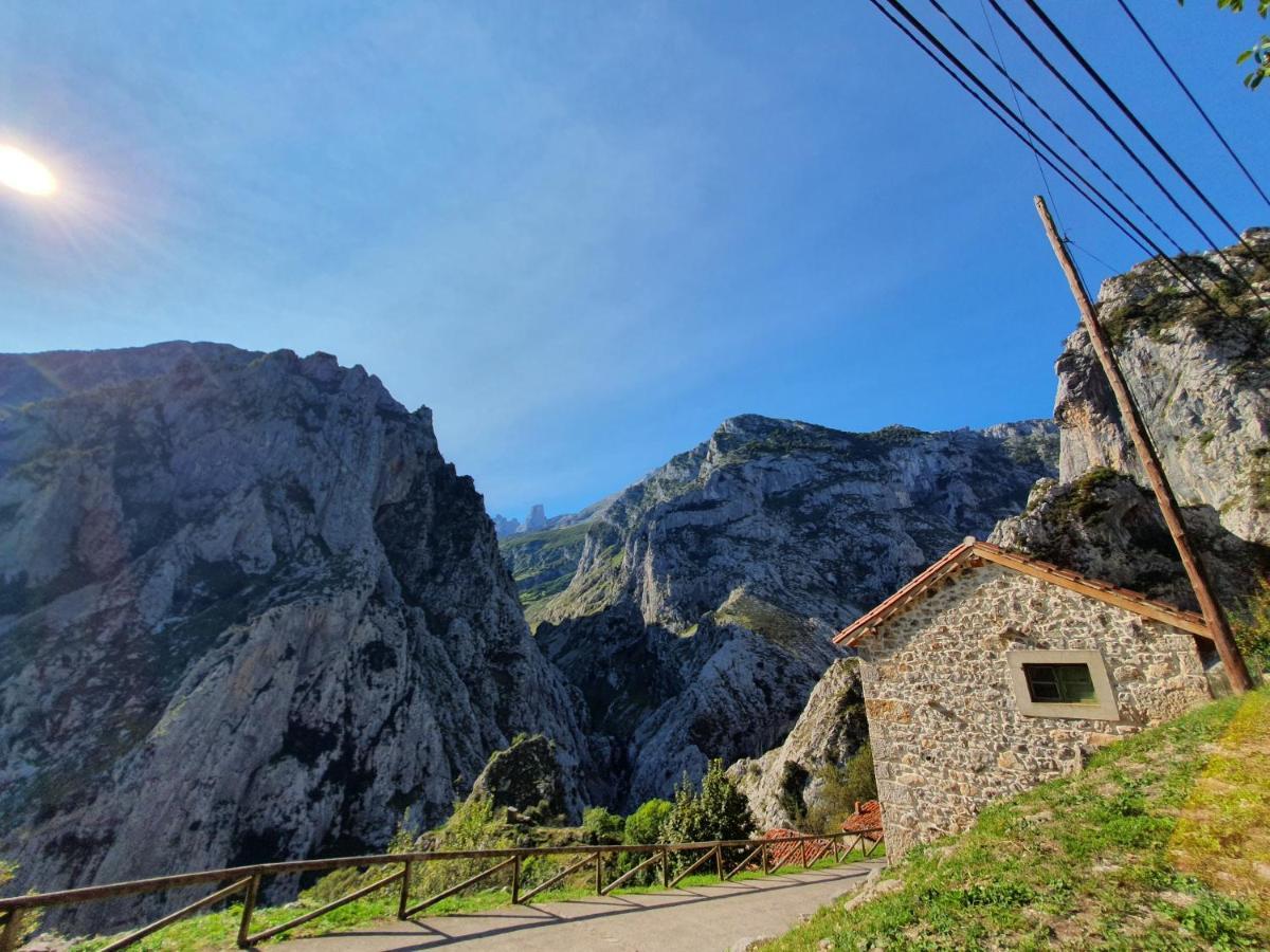 La Estancia De Cangas - Amplio Piso Con Garaje Cangas de Onis Bagian luar foto